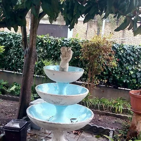 Nespolo